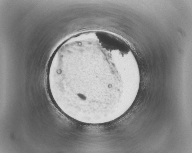 X0000115551518200911201750