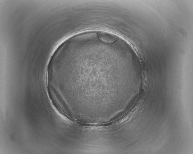 X0000115551519200911201750