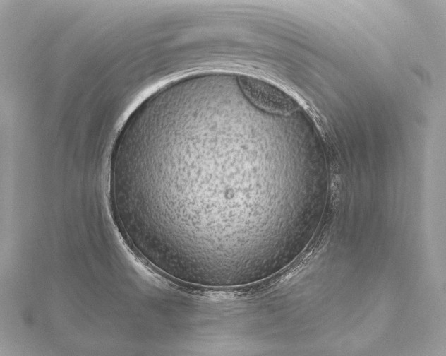 X0000115551523200911201750