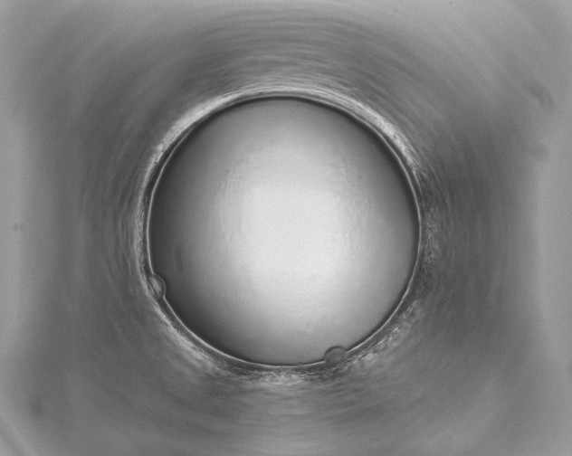 X0000115551525200911201750