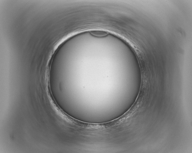 X0000115551526200911201750