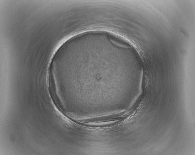 X0000115551527200911201750