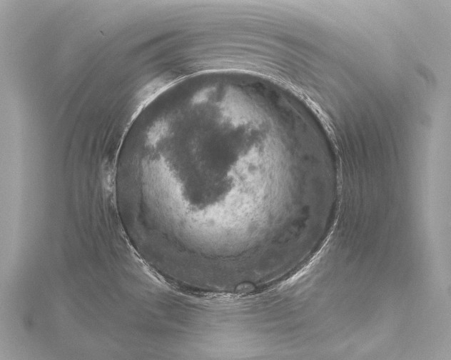 X0000115551529200911201750