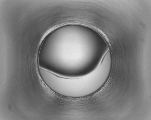 X0000115551530200911201750