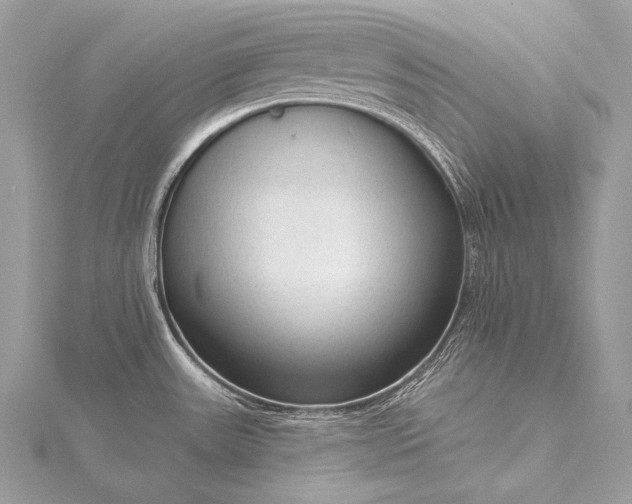 X0000115551531200911201750