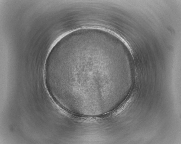 X0000115551533200911201750