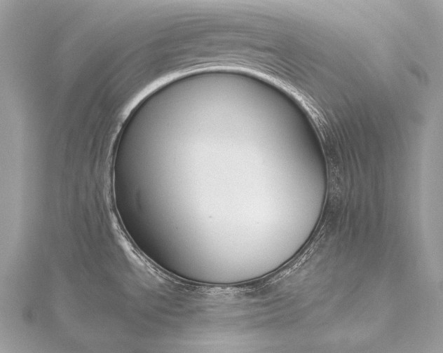 X0000115551534200911201750