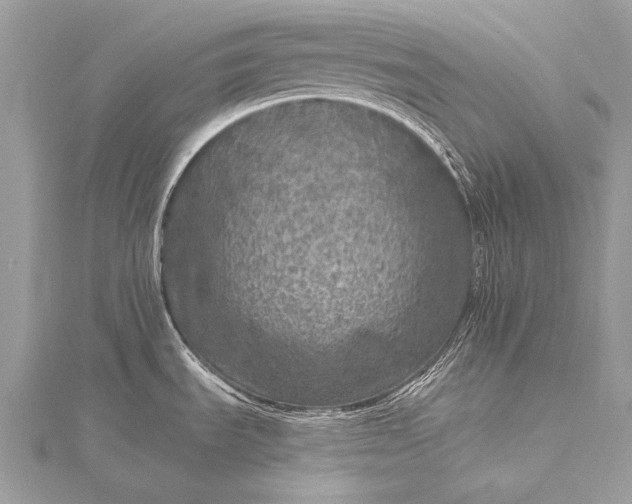 X0000115551535200911201750