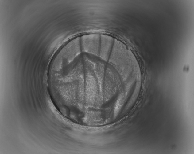 X0000115550002200911271444