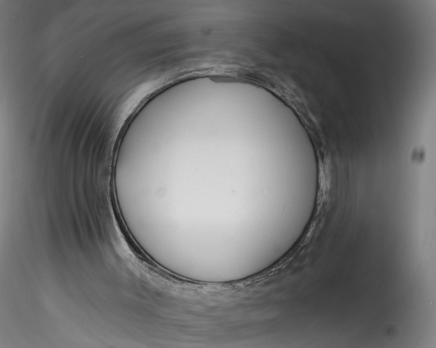 X0000115550003200911271444