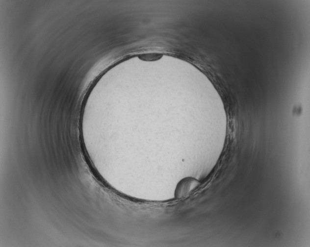 X0000115550004200911271444