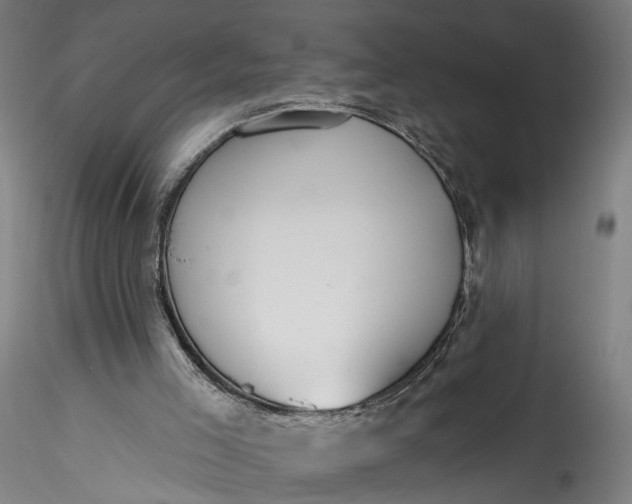 X0000115550005200911271444