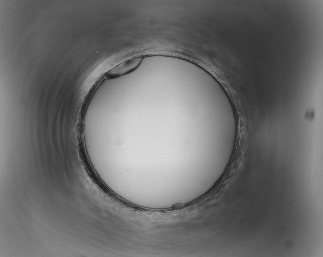 X0000115550007200911271444