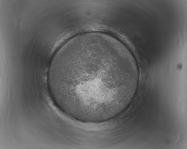 X0000115550010200911271444