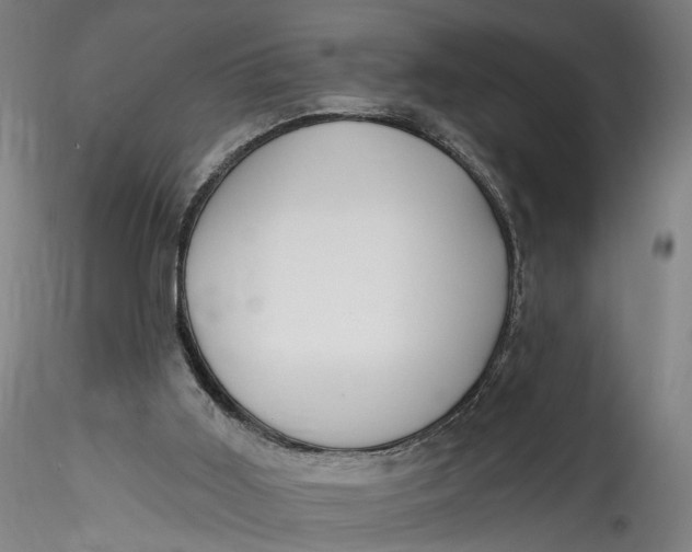 X0000115550011200911271444