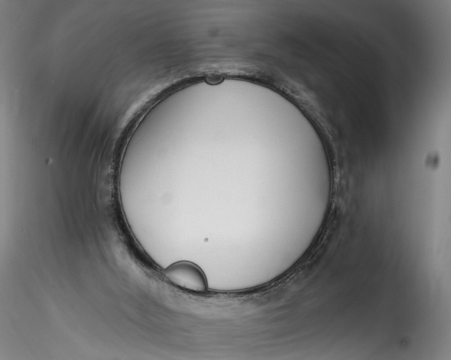 X0000115550012200911271444