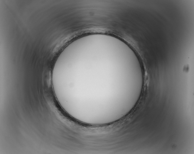 X0000115550013200911271444