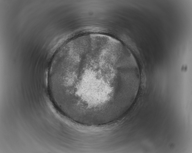 X0000115550014200911271444