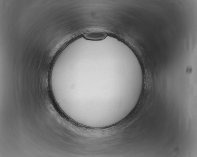 X0000115550015200911271444