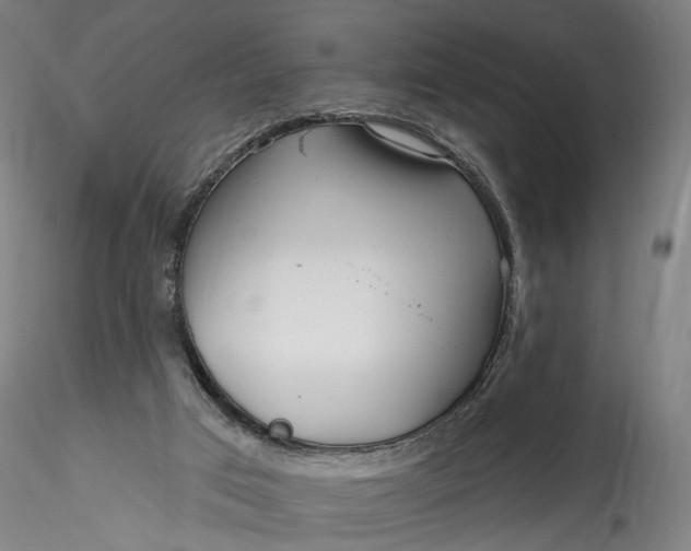 X0000115550017200911271444