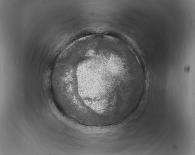 X0000115550018200911271444