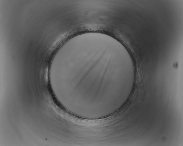 X0000115550019200911271444