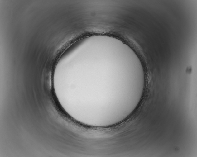 X0000115550020200911271444