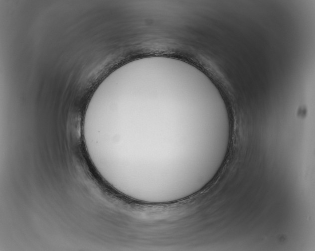 X0000115550021200911271444