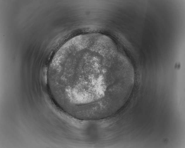 X0000115550022200911271444