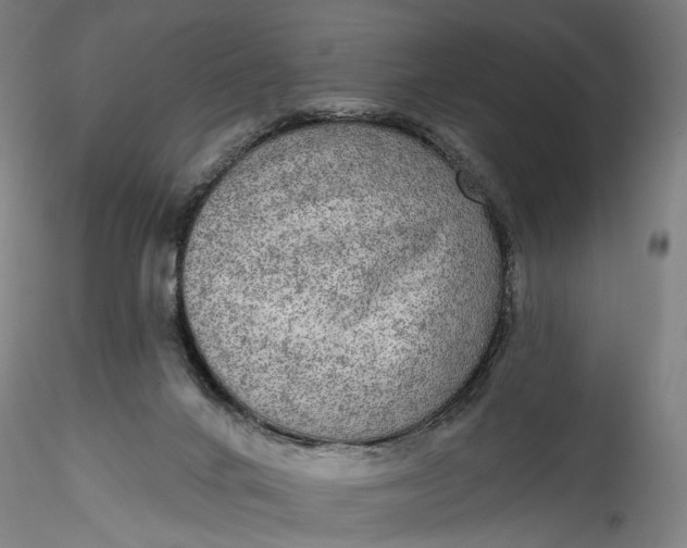 X0000115550024200911271444