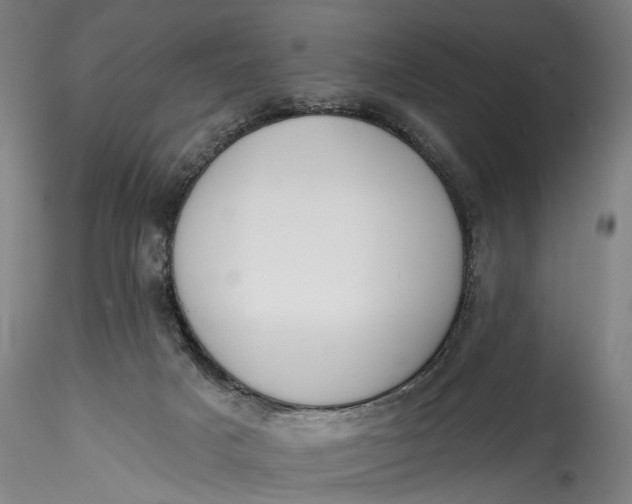 X0000115550025200911271444