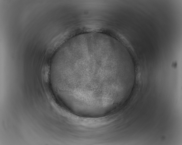 X0000115550026200911271444