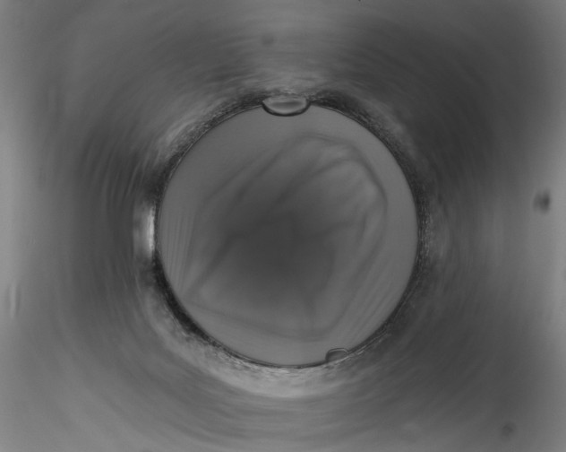 X0000115550027200911271444