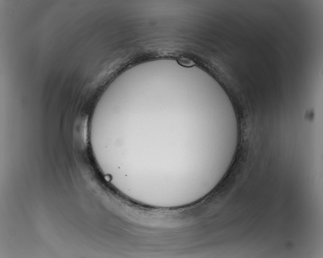 X0000115550028200911271444