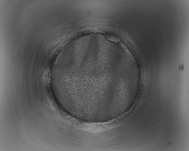 X0000115550029200911271444