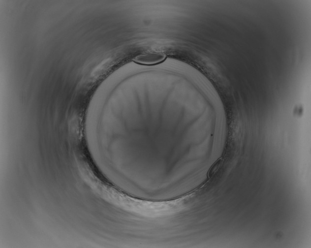 X0000115550031200911271444