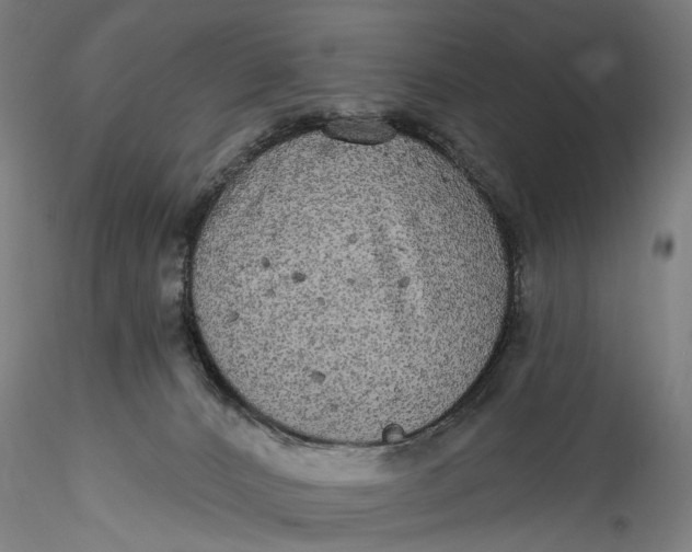 X0000115550032200911271444