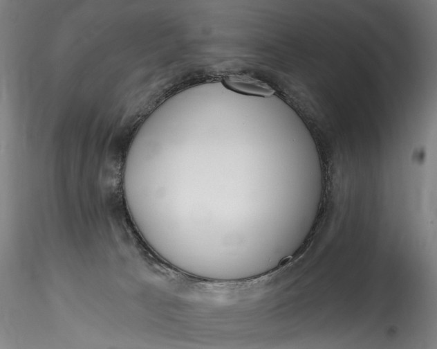 X0000115550033200911271444