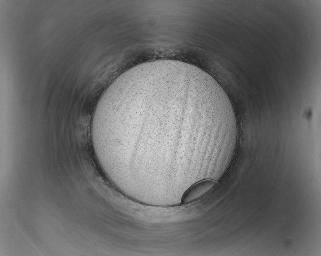 X0000115550034200911271444