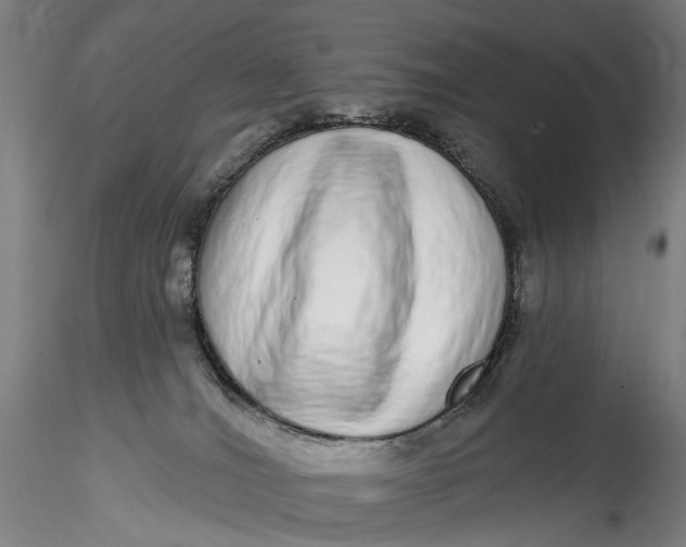 X0000115550036200911271444