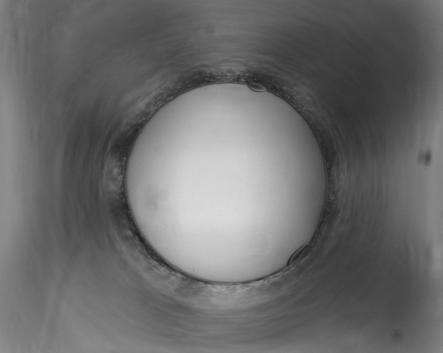 X0000115550037200911271444