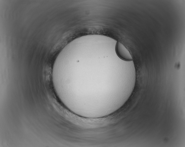 X0000115550038200911271444