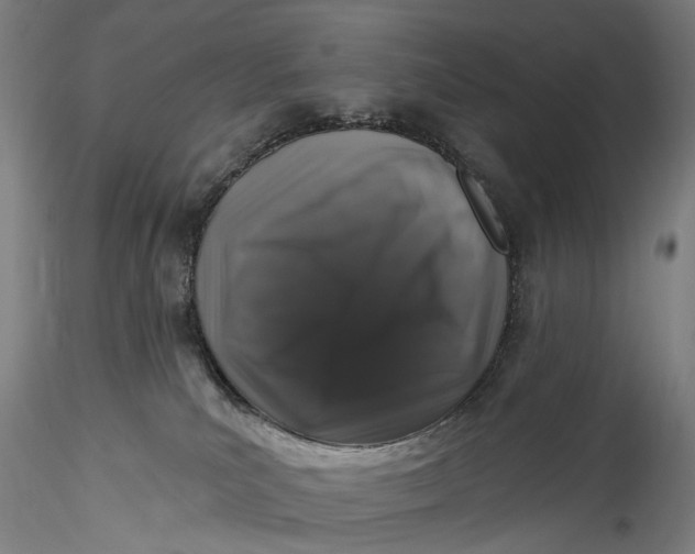 X0000115550039200911271444