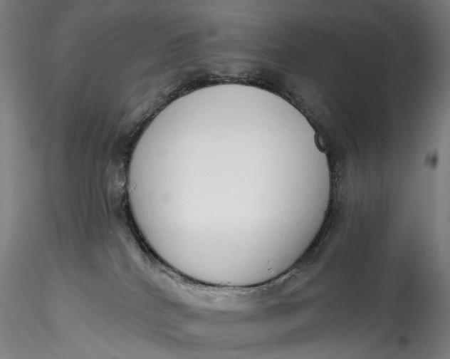 X0000115550040200911271444