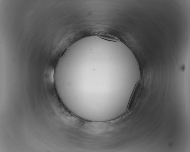 X0000115550041200911271444