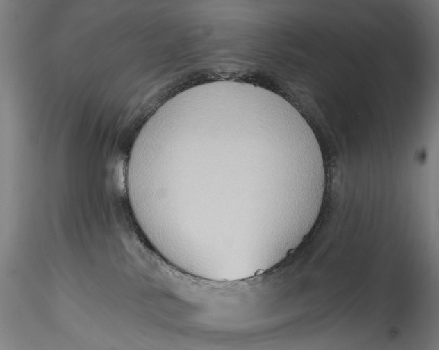 X0000115550042200911271444