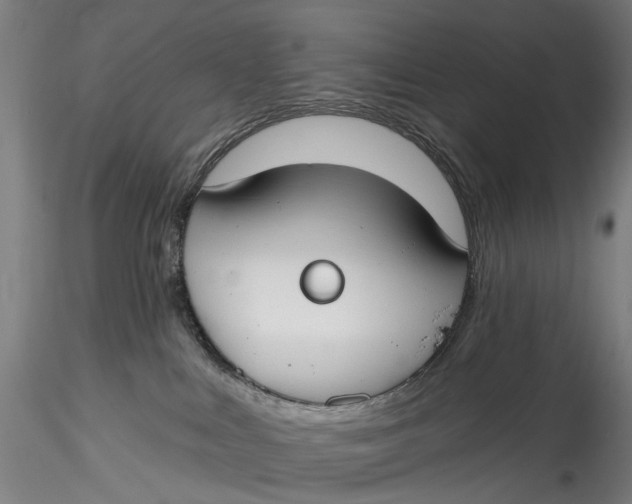 X0000115550043200911271444