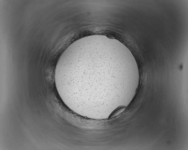 X0000115550044200911271444