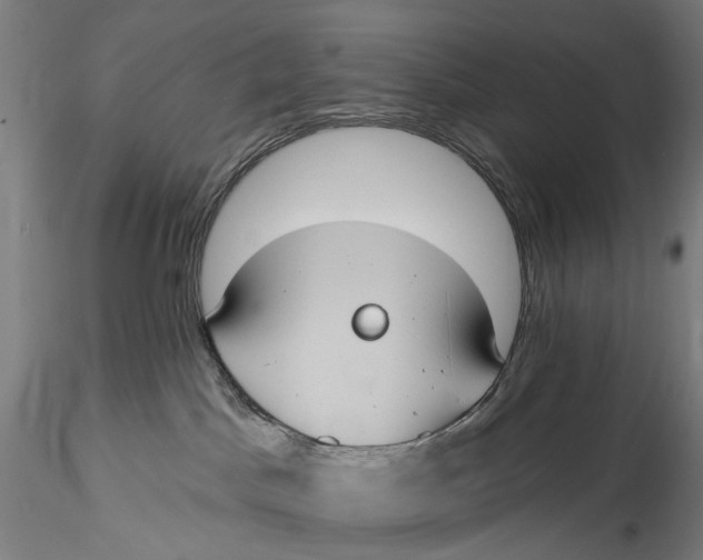 X0000115550045200911271444