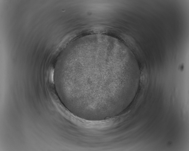 X0000115550046200911271444